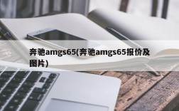 奔驰amgs65(奔驰amgs65报价及图片)