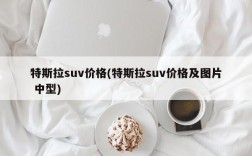 特斯拉suv价格(特斯拉suv价格及图片 中型)