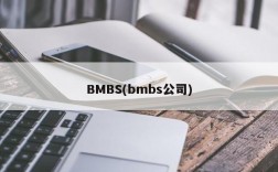 BMBS(bmbs公司)