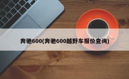 奔驰600(奔驰600越野车报价查询)