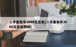 二手面包车3000元左右(二手面包车3000元左右同城)