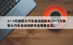 2一3万微型小汽车自动挡新车(2一3万微型小汽车自动挡新车在哪里有卖)