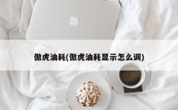 傲虎油耗(傲虎油耗显示怎么调)