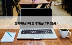 全球鹰gx6(全球鹰gx7长宽高)