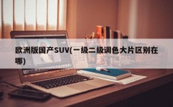 欧洲版国产SUV(一级二级调色大片区别在哪)