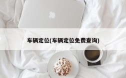 车辆定位(车辆定位免费查询)