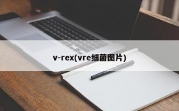 v-rex(vre细菌图片)